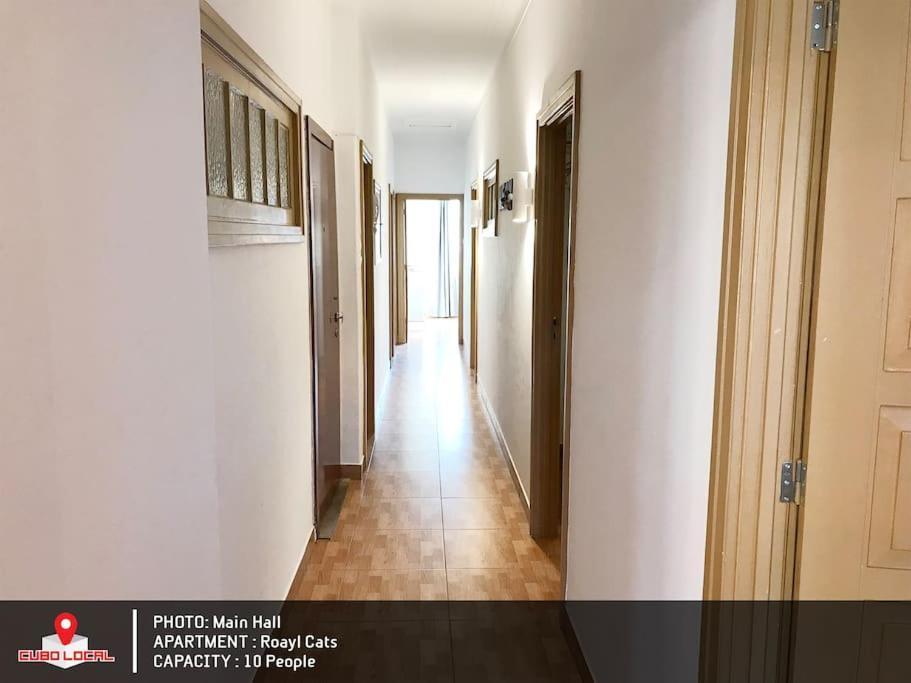 Royal Cats Apartment Porto Bagian luar foto